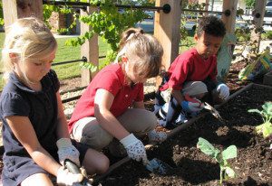 Children gardening