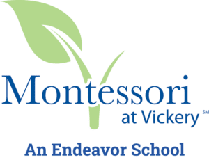 Montessori at Vickery